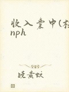 收入囊中(校园nph
