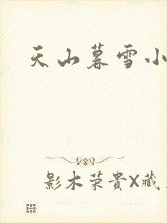 天山暮雪小说