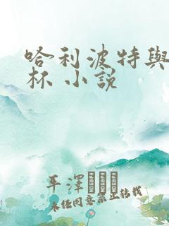 哈利波特与火焰杯 小说