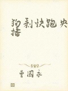 狗剩快跑央八首播