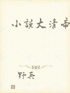 小说大清帝国