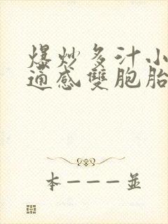 爆炒多汁小美人通感双胞胎燎锋