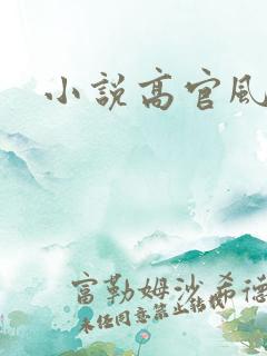 小说高官风流