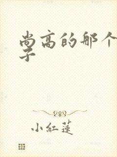 尚高的那个臭小子