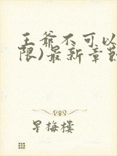 王爷不可以!(限)最新章节