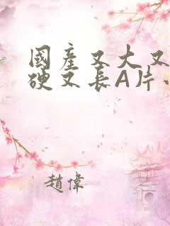 国产又大又粗又硬又长A片小说