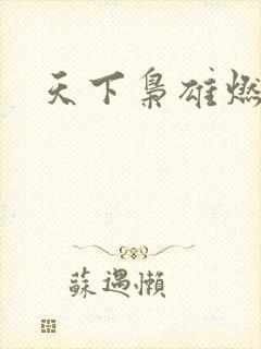 天下枭雄燃文