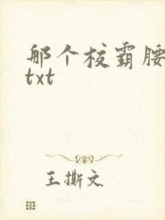 那个校霸腰好软txt