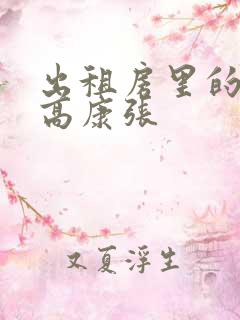 出租房里的交互高康张