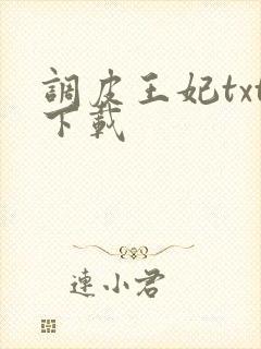 调皮王妃txt下载