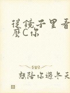 从镜子里看我怎么C你