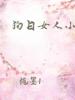 狗日女人小说