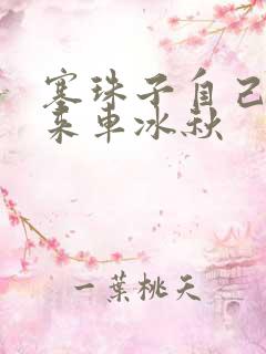 塞珠子自己排出来车冰秋