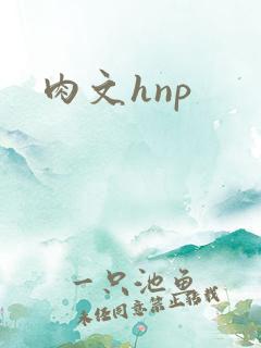 肉文hnp