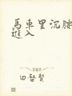 马车里沉腰缓缓进入