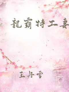 龙霸特工妻