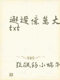 邂逅亿万大人物txt