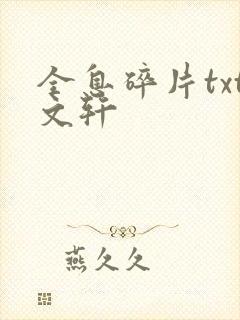 全息碎片txt文轩