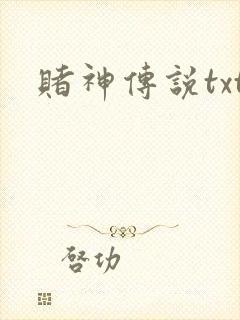 赌神传说txt