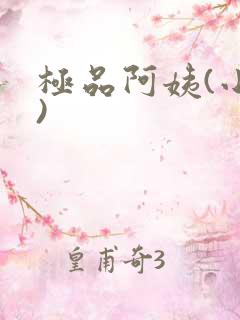 极品阿姨(小说)
