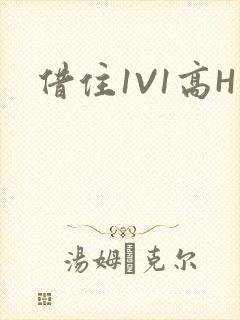 借住1V1高H