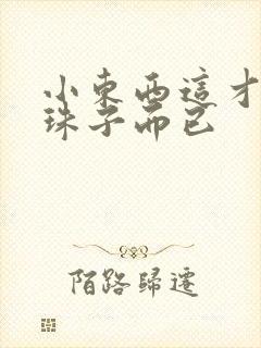 小东西这才一颗珠子而已