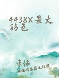 4438X最大的色