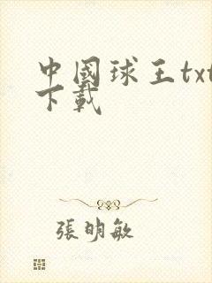 中国球王txt下载