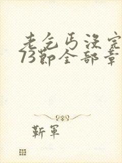 老乞丐没完没了73节全部章节内容