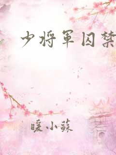少将军囚禁我