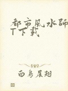 都市风水师TXT下载