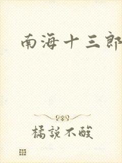 南海十三郎小说