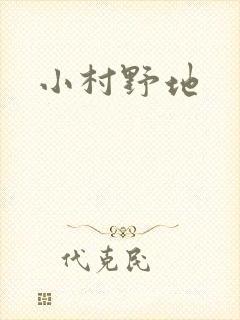 小村野地