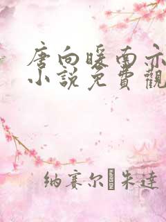 唐向暖南亦琛的小说免费观看