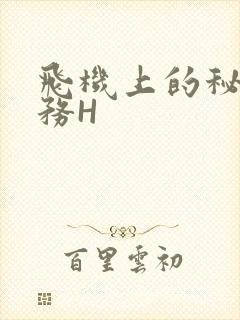 飞机上的秘密服务H