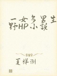 一女多男生活狂野HP小说