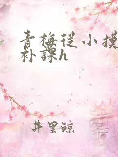 青梅从小摸到大补课h