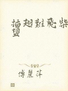 插翅难飞柴米油盐