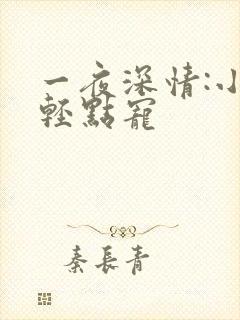 一夜深情:小叔轻点宠