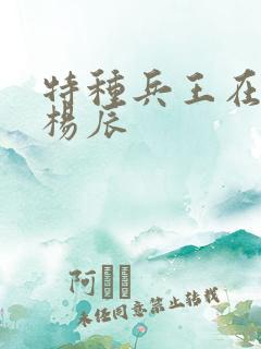 特种兵王在都市杨辰