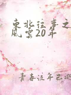 东北往事之黑道风云20年