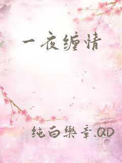 一夜缠情
