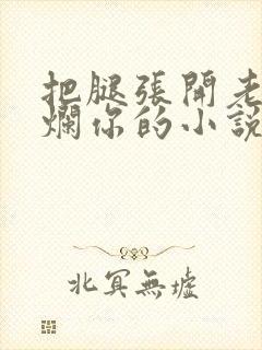 把腿张开老子臊烂你的小说