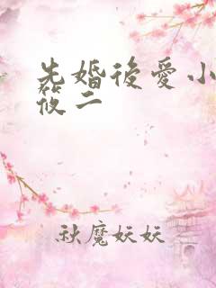 先婚后爱小说梦筱二