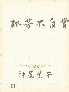 孤芳不自赏小说