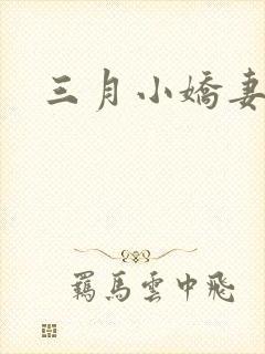 三月小娇妻