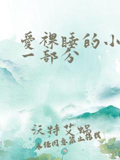 爱裸睡的小丹第一部分