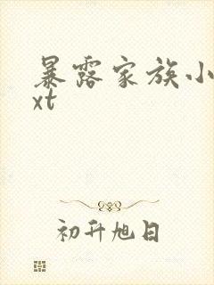 暴露家族小说txt