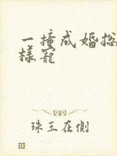 一撞成婚总裁花样宠