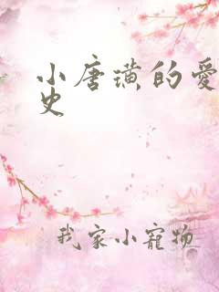 小唐璜的爱情历史